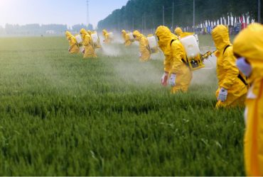 pesticide